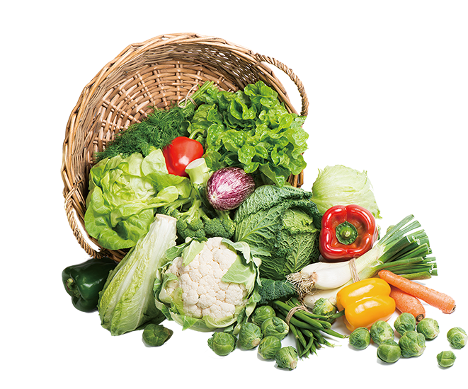 Home Shop Page Nutrico